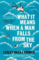 Was es bedeutet, wenn ein Mann vom Himmel fällt - Vom Gewinner des Caine Prize for African Writing 2019 - What It Means When A Man Falls From The Sky - From the Winner of the Caine Prize for African Writing 2019