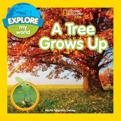 Erforsche meine Welt: Ein Baum wächst heran - Explore My World: A Tree Grows Up