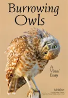 Die Welt der Kanincheneulen: Ein fotografischer Essay über ihre Verhaltensweisen und Schönheit - The World of Burrowing Owls: A Photographic Essay Exploring Their Behaviors & Beauty