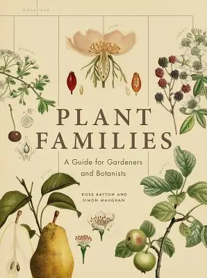 Pflanzenfamilien: Ein Leitfaden für Gärtner und Botaniker - Plant Families: A Guide for Gardeners and Botanists