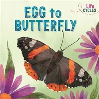 Lebenszyklen: Vom Ei zum Schmetterling - Life Cycles: Egg to Butterfly