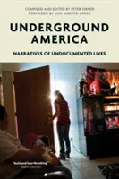 Amerika im Untergrund: Erzählungen undokumentierter Leben - Underground America: Narratives of Undocumented Lives