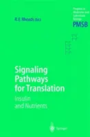 Signalwege für die Translation: Insulin und Nährstoffe - Signaling Pathways for Translation: Insulin and Nutrients