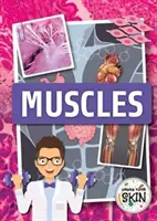 Muskeln - Muscles