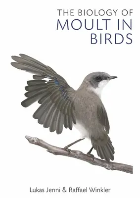 Die Biologie der Mauser bei Vögeln - The Biology of Moult in Birds