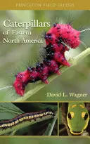 Raupen des östlichen Nordamerikas: Ein Leitfaden zur Identifizierung und Naturgeschichte - Caterpillars of Eastern North America: A Guide to Identification and Natural History