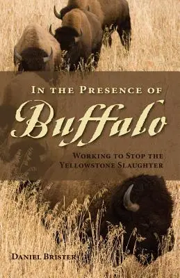 In der Gegenwart der Büffel: Das Abschlachten der Yellowstone-Büffel stoppen - In the Presence of Buffalo: Working to Stop the Yellowstone Slaughter