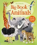 Großes Buch der Tiere - Big Book of Animals
