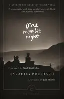 Eine mondhelle Nacht - One Moonlit Night