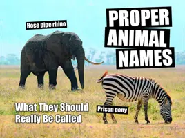 Richtige Tiernamen - Wie sie wirklich heißen sollten - Proper Animal Names - What They Should Really Be Called