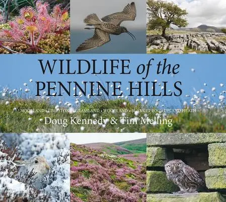 Wildlife of the Pennine Hills: Moorland: Kalkstein: Grasland: Waldland: Flachmoor: Hochgebirgsheiden - Wildlife of the Pennine Hills: Moorland: Limestone: Grassland: Woodland: Blanket Bog: Upland Heath