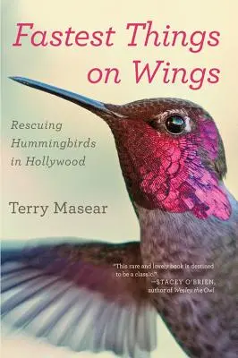 Die schnellsten Dinge auf den Flügeln: Die Rettung der Kolibris in Hollywood - Fastest Things on Wings: Rescuing Hummingbirds in Hollywood