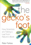 Der Fuß des Geckos - The Gecko's Foot