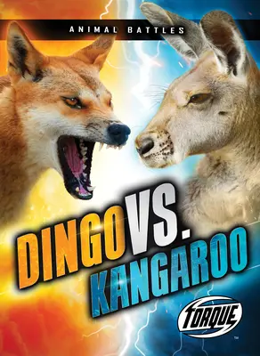 Dingo vs. Känguru - Dingo vs. Kangaroo