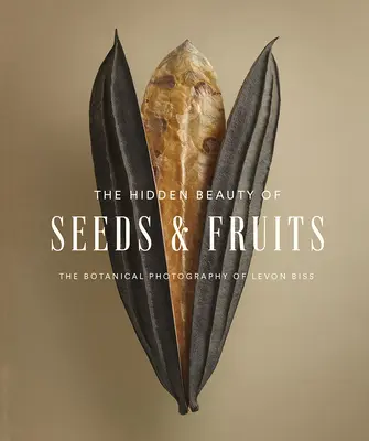 Die verborgene Schönheit von Samen und Früchten: Die botanische Fotografie von Levon Biss - The Hidden Beauty of Seeds & Fruits: The Botanical Photography of Levon Biss