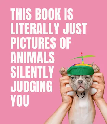 Dieses Buch besteht buchstäblich nur aus Bildern von Tieren, die dich schweigend verurteilen - This Book Is Literally Just Pictures of Animals Silently Judging You