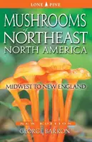 Pilze aus dem Nordosten Nordamerikas: Mittlerer Westen bis Neuengland - Mushrooms of Northeast North America: Midwest to New England