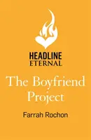 Boyfriend Project - Intelligent, witzig und sexy - eine moderne Liebeskomödie über Liebe, Freundschaft und die Jagd nach deinen Träumen! - Boyfriend Project - Smart, funny and sexy - a modern rom-com of love, friendship and chasing your dreams!