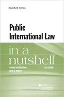 Internationales Öffentliches Recht kurz und bündig - Public International Law in a Nutshell