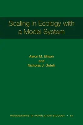 Skalierung in der Ökologie mit einem Modellsystem - Scaling in Ecology with a Model System