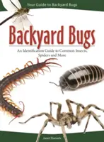 Ungeziefer im Garten: Ein Bestimmungsbuch für Insekten, Spinnen und mehr - Backyard Bugs: An Identification Guide to Common Insects, Spiders, and More