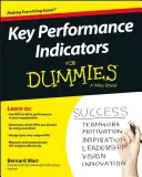 Key Performance Indicators für Dummies - Key Performance Indicators for Dummies