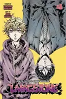 Livingstone, Band 4 - Livingstone, Volume 4