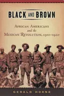 Schwarz und Braun: Afroamerikaner und die mexikanische Revolution, 1910-1920 - Black and Brown: African Americans and the Mexican Revolution, 1910-1920