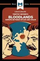 Eine Analyse von Timothy Snyder's Bloodlands: Europa zwischen Hitler und Stalin - An Analysis of Timothy Snyder's Bloodlands: Europe Between Hitler and Stalin