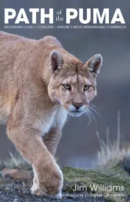 Der Weg des Pumas: Die bemerkenswerte Widerstandskraft des Berglöwen - Path of the Puma: The Remarkable Resilience of the Mountain Lion