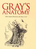 Gray's Anatomy: Schuberausgabe - Gray's Anatomy: Slip-Case Edition