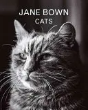 Jane Bown: Katzen - Jane Bown: Cats