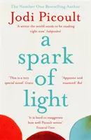 Funken des Lichts - DER NUMBER ONE SUNDAY TIMES BESTSELLER - Spark of Light - THE NUMBER ONE SUNDAY TIMES BESTSELLER