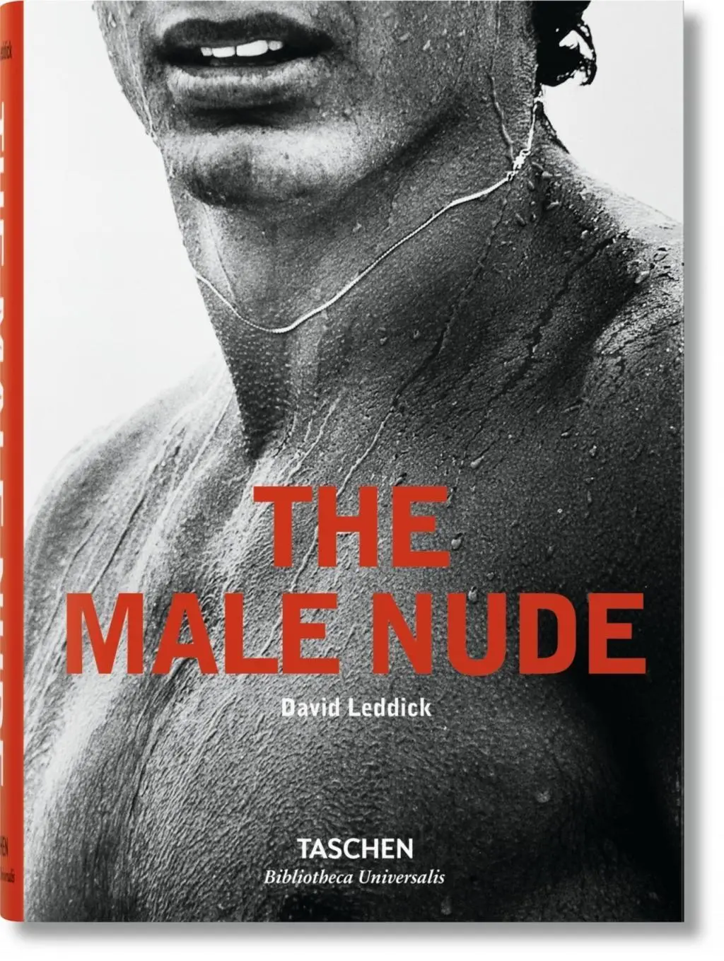 Der männliche Akt - The Male Nude