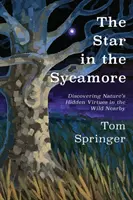 Der Stern in der Sykomore: Die verborgenen Tugenden der Natur in der wilden Umgebung entdecken - The Star in the Sycamore: Discovering Nature's Hidden Virtues in the Wild Nearby