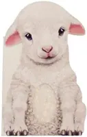 Pelziges Lamm - Furry Lamb