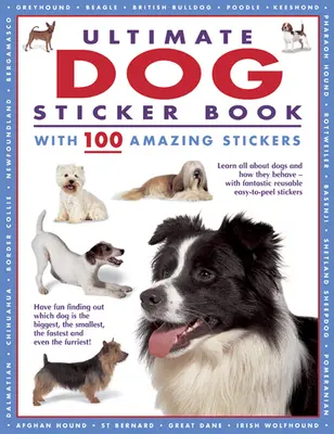 Ultimatives Hunde-Stickerbuch mit 100 tollen Stickern: Lernen Sie alles über Hunde und ihr Verhalten - mit fantastischen, wiederverwendbaren und leicht abziehbaren Aufklebern - Ultimate Dog Sticker Book with 100 Amazing Stickers: Learn All about Dogs and How They Behave - With Fantastic Reusable Easy-To-Peel Stickers