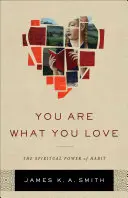 Du bist, was du liebst: Die spirituelle Kraft der Gewohnheit - You Are What You Love: The Spiritual Power of Habit