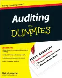 Wirtschaftsprüfung für Dummies - Auditing for Dummies