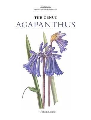 Gattung Agapanthus - Genus Agapanthus