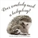 Braucht da jemand eine Igelumarmung? - Does Somebody Need a Hedgehug?