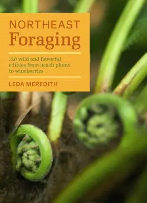 Northeast Foraging: 120 wilde und schmackhafte Lebensmittel von Strandpflaumen bis Weinbeeren - Northeast Foraging: 120 Wild and Flavorful Edibles from Beach Plums to Wineberries