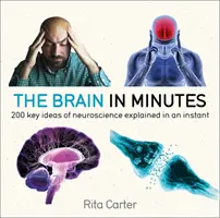 Das Gehirn in wenigen Minuten: 200 Schlüsselideen der Neurowissenschaft im Handumdrehen erklärt - The Brain in Minutes: 200 Key Ideas of Neuroscience Explained in an Instant