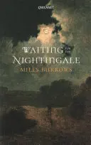 Warten auf die Nachtigall - Waiting for the Nightingale