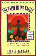 Der Wert im Tal: Der Leitfaden einer schwarzen Frau durch die Dilemmata des Lebens - The Value in the Valley: A Black Woman's Guide Through Life's Dilemmas