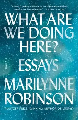 Was tun wir hier? Essays - What Are We Doing Here?: Essays