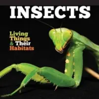 Insekten - Insects