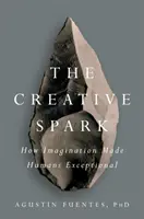 Der kreative Funke: Wie die Vorstellungskraft den Menschen zu etwas Außergewöhnlichem machte - The Creative Spark: How Imagination Made Humans Exceptional