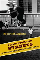 Ansichten von der Straße: Die Transformation von Gangs und Gewalt in Chicagos South Side - Views from the Streets: The Transformation of Gangs and Violence on Chicago's South Side