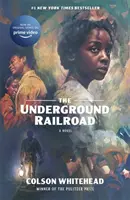 Underground Railroad - Gewinner des Pulitzer-Preises für Belletristik 2017 - Underground Railroad - Winner of the Pulitzer Prize for Fiction 2017